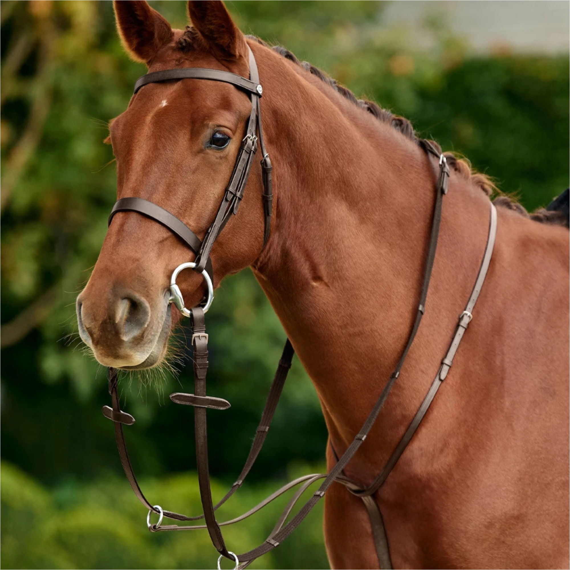 2026 Dublin Running Martingale 1031505 - Brown